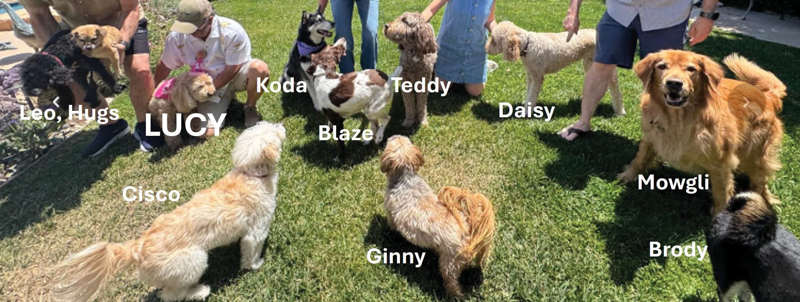 Lucy invites 10 of her closest friends to attend 18th birthday party