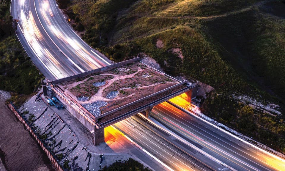 Caltrans grant aims to scale up wildlife corridor blueprint